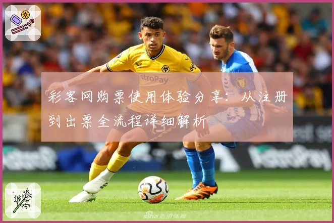 彩客网购票使用体验分享：从注册到出票全流程详细解析