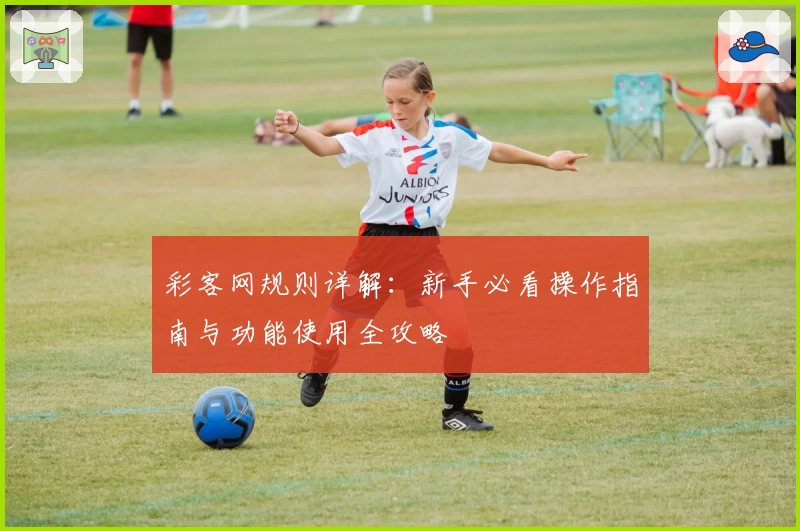 彩客网规则详解：新手必看操作指南与功能使用全攻略